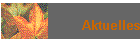 Aktuelles