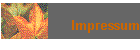 Impressum